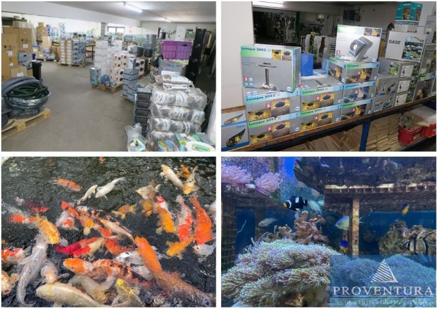 Großer Insolvenz-Räumungsverkauf: Aquaristik, Fische, Korallen, Fischzucht, Teichzubehör, Aquarien, etc., 50% auf Alles!