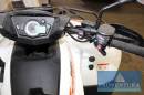 Quad/ LOF. Zugm. Ackerschlepper ACCESS MOTOR Shade xtreme 650 4x4