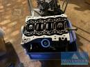 Rennwagen Ford Fiesta 1.4 Fun, EZ 1999, Wagenpass u. Historie