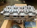 Rennwagen Ford Fiesta 1.4 Fun, EZ 1999, Wagenpass u. Historie