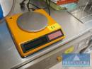 Feinwaage SARTORIUS max. 310 g