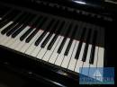 Flügel BÖSENDORFER