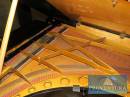 Flügel BÖSENDORFER