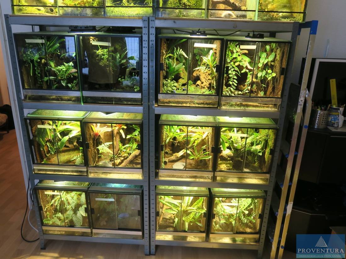 Aus Insolvenz: 300 kg Vitamin-Futterzusatz für Reptilien, 15 Terrarienwürfel, etc., Raum Hannover