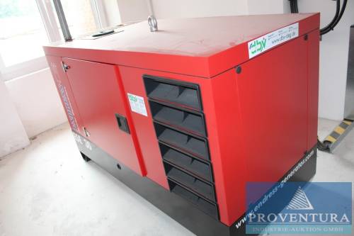 Versteigerung: Notstromaggregat ENDRESS ESE 30, Bj. 2019, 2,9 Betriebsstunden, 30 KVA